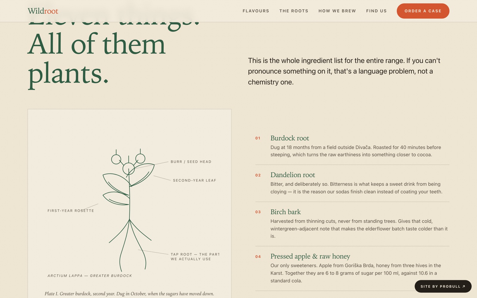 Wildroot — section